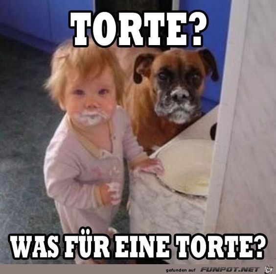 Torte Torte