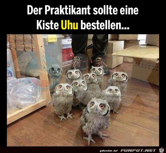 Uhu Uhu