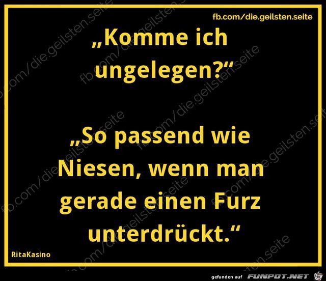 komm ich ungelegen komm ich ungelegen