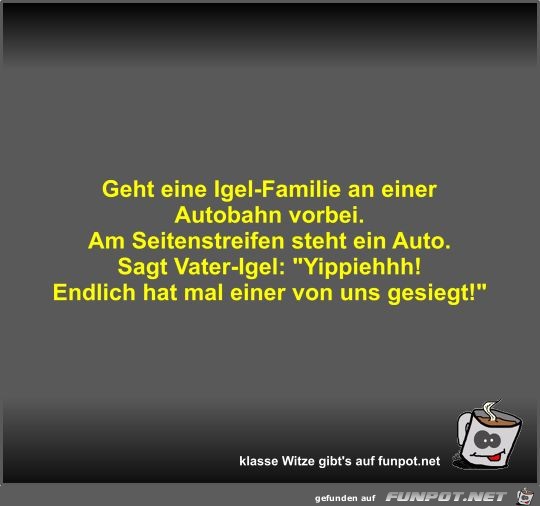 Geht eine Igel-Familie an einer Autobahn vorbei Geht eine Igel-Familie an einer Autobahn vorbei
