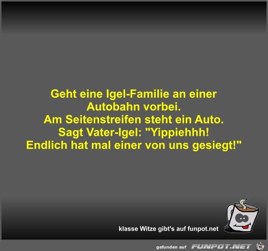 Geht eine Igel-Familie an einer Autobahn vorbei