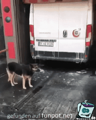 Hundewaschanlage Hundewaschanlage