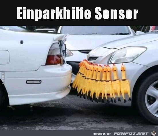 Einparkhilfe Sensor......