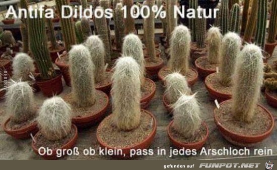 Nettes Gedicht Nettes Gedicht