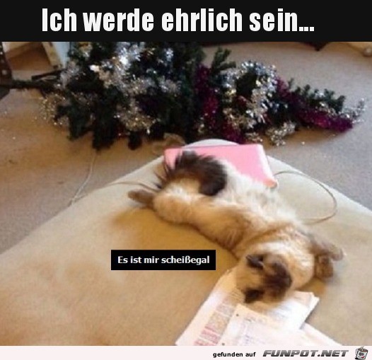 Mir doch egal Mir doch egal