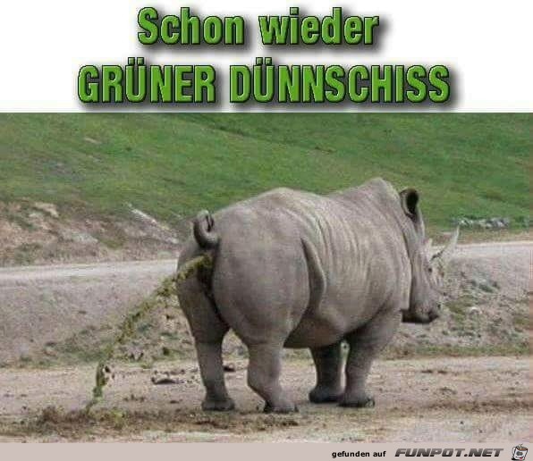 Grner Dnnschiss