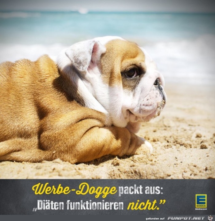 EDEKA-Südwest EDEKA-Südwest