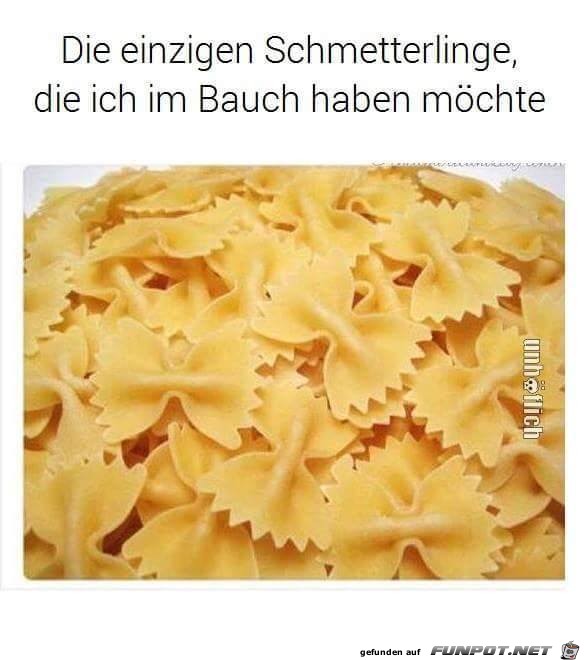 Schmetterlinge