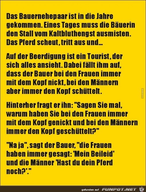 das Pferd scheut, tritt aus und......... das Pferd scheut, tritt aus und.........
