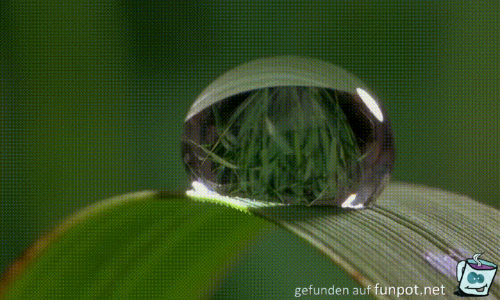 Wassertropfen Wassertropfen