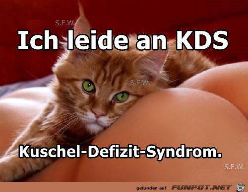 Ich leide an KDS Ich leide an KDS