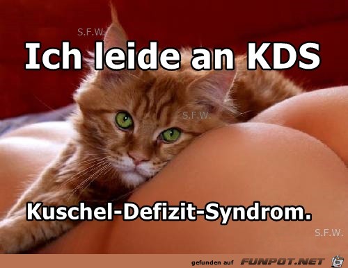 Ich leide an KDS