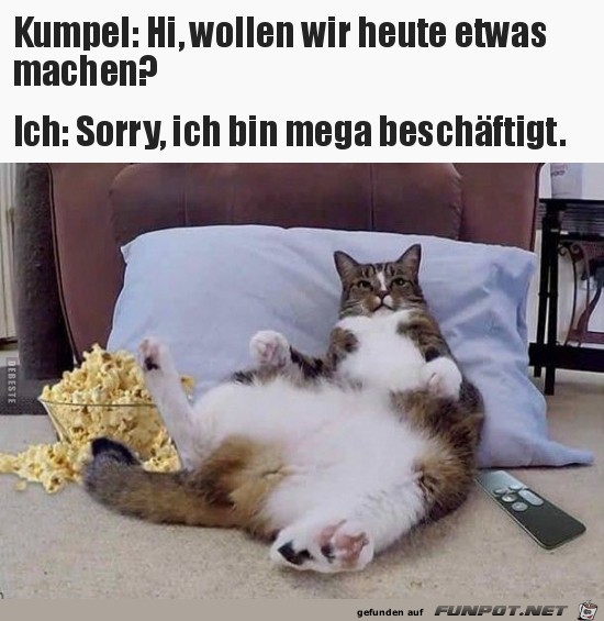 Kumpel:.....