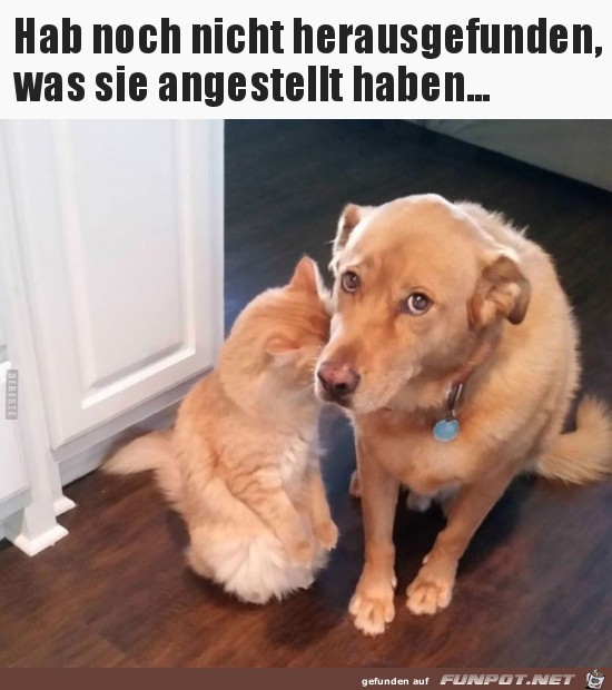 Hab noch nicht herausgefunden......