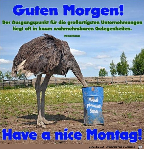 Montag Montag