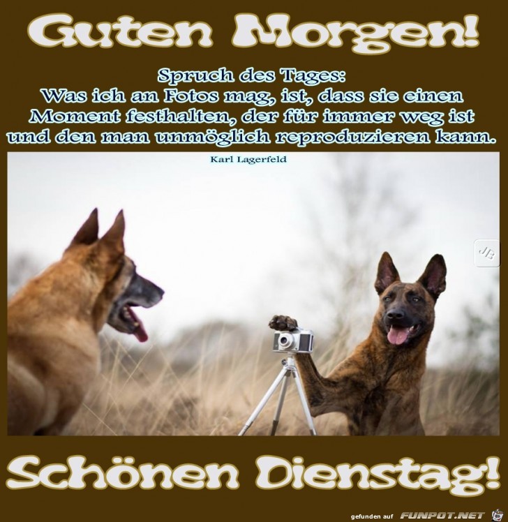 Dienstag Dienstag