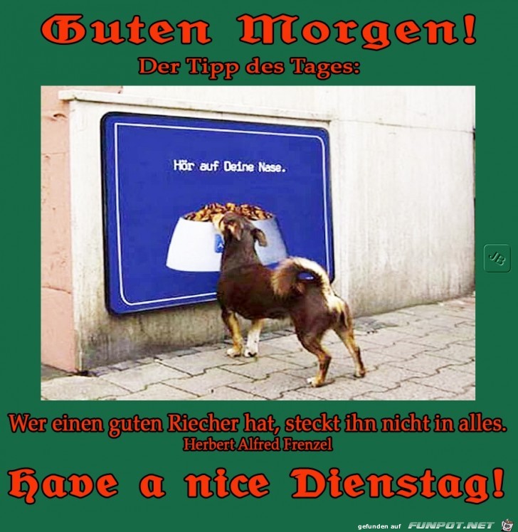 Dienstag Dienstag