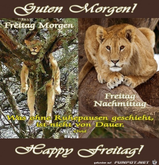 Freitag Freitag