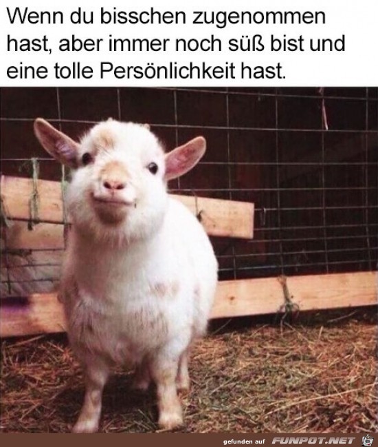 wenn du bischen zugenommen hast,.....