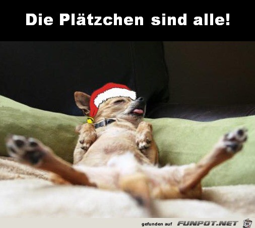 Zu viele Plätzchen Zu viele Plätzchen