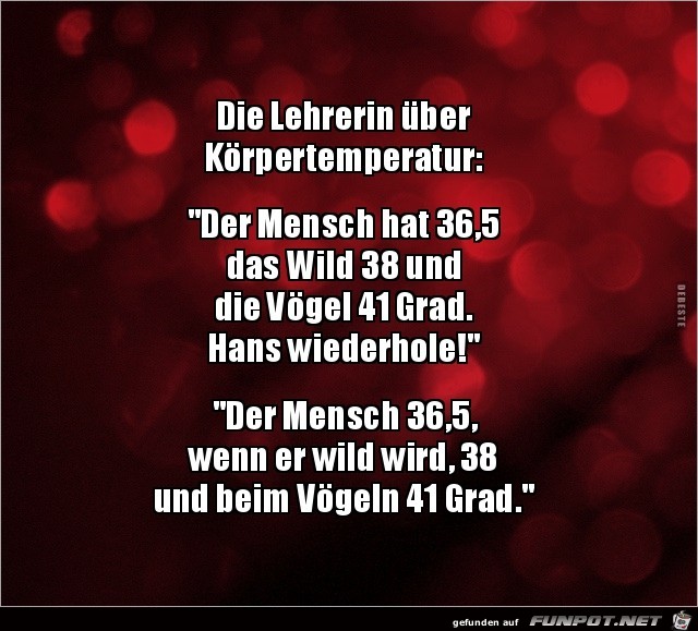 die Lehrerin über Körpertemperatur:...... die Lehrerin über Körpertemperatur:......