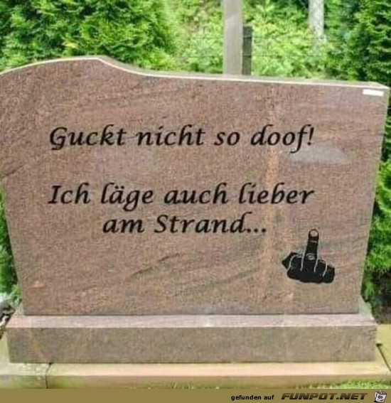 Guckt nicht so doof!... Guckt nicht so doof!...