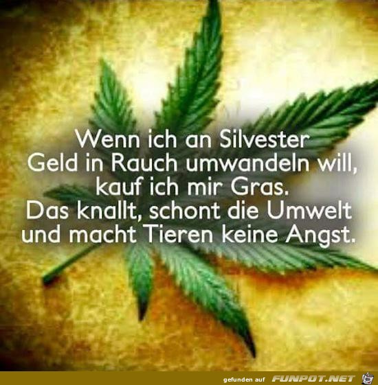 Guter Plan Guter Plan