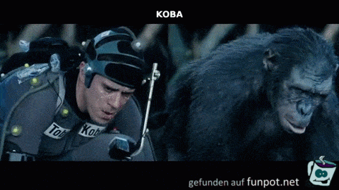 Ähnlichkeiten Ähnlichkeiten