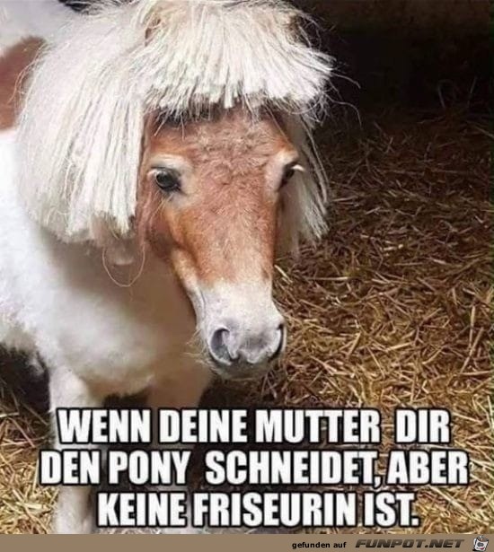 Super Pony