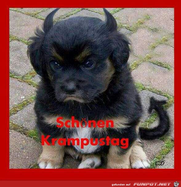 Krampus Krampus