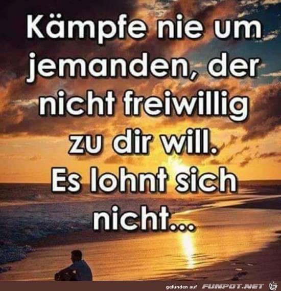 Kämpfe nie um jemanden der nicht...... Kämpfe nie um jemanden der nicht......