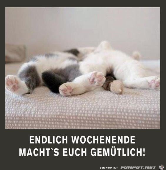 Endlich Wochenende