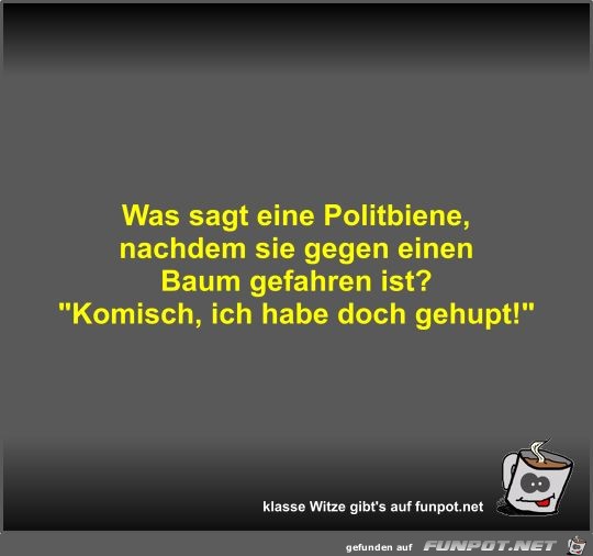 Was sagt eine Politbiene Was sagt eine Politbiene