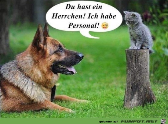 Hund und Katz.....