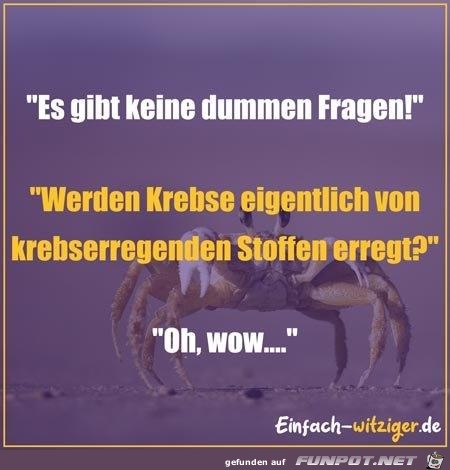 dumme Fragen