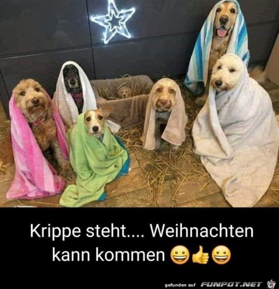Wie putzig Wie putzig