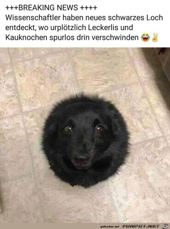 Schwarzes Loch Schwarzes Loch