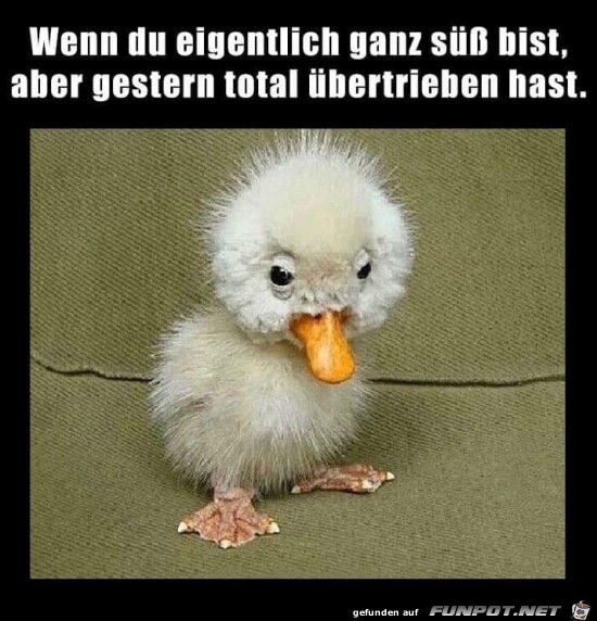 Harter Abend gewesen Harter Abend gewesen