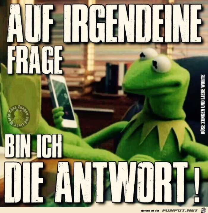 Frage-Antwort