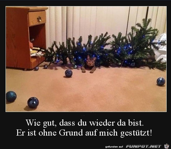 Böser Baum Böser Baum