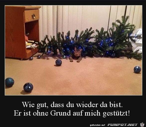 Bser Baum