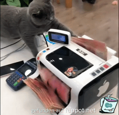 Erst mal die Mäuse zählen Erst mal die Mäuse zählen
