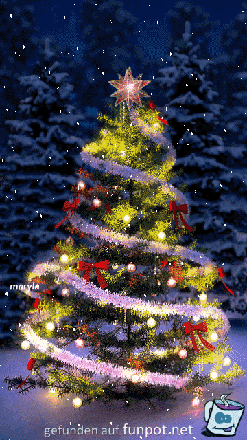 Schönes Weihnachtsfest Schönes Weihnachtsfest