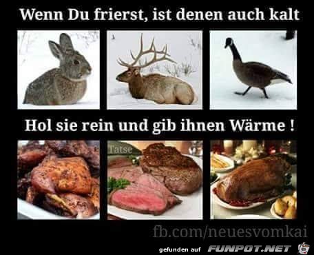 schenk ihnen Wärme schenk ihnen Wärme