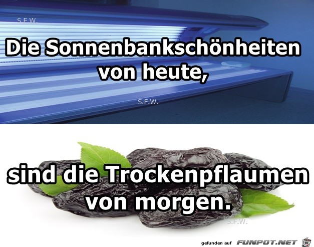 Die Sonnenbankschoenheiten