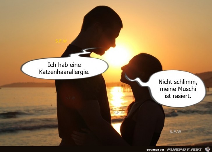 Katzenhaarallergie