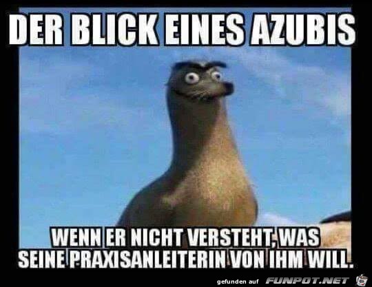 Azubi Azubi