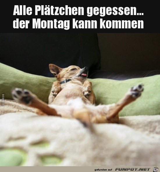 der Montag kann kommen.... der Montag kann kommen....