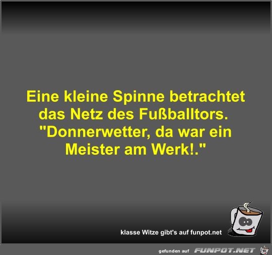 Eine kleine Spinne betrachtet das Netz des Fuballtors