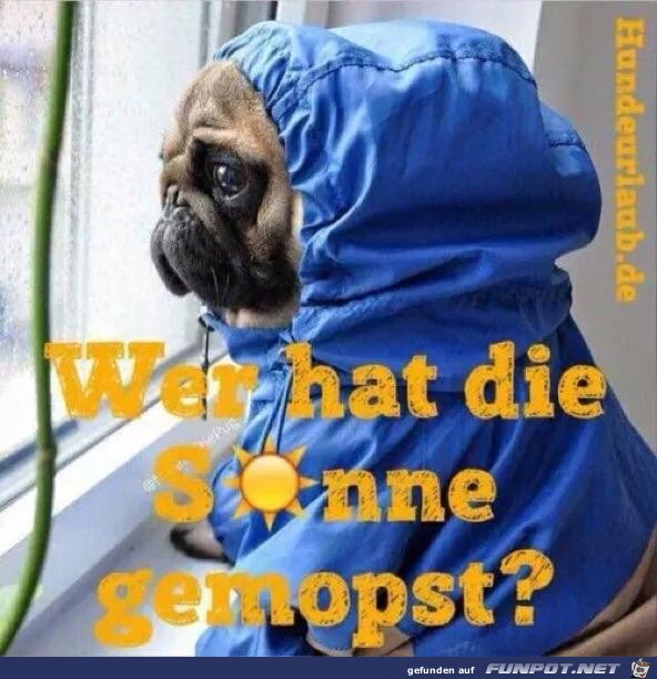 Wer hat die Sonne gemopst? Wer hat die Sonne gemopst?